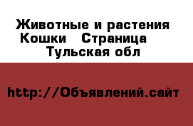 Животные и растения Кошки - Страница 7 . Тульская обл.